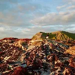 Salmon Lofoten Дом отдыха