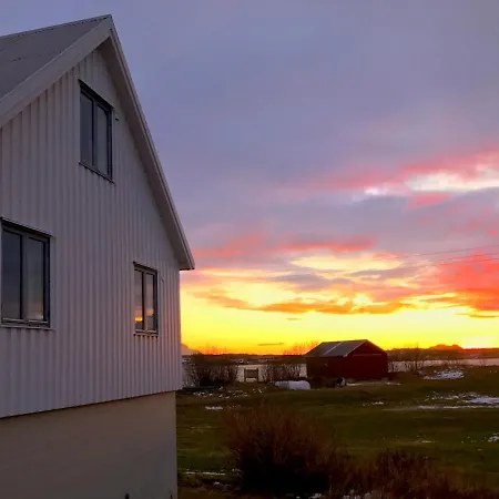 Salmon Lofoten