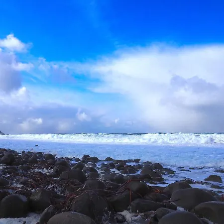 Salmon Lofoten Ferienhaus Leknes