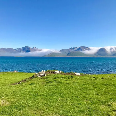 Salmon Lofoten Holiday home