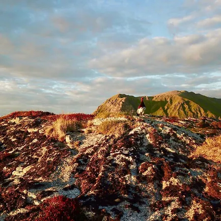 Salmon Lofoten Ferienhaus