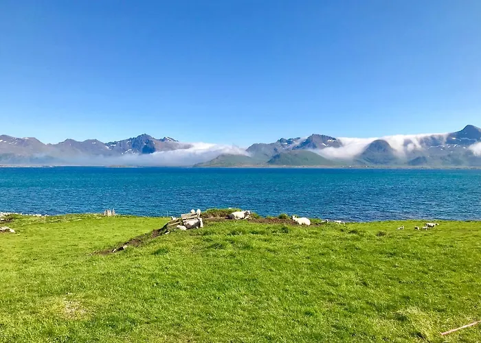 Salmon Lofoten Dom wakacyjny