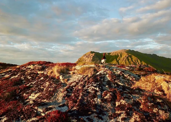 Salmon Lofoten Дом отдыха